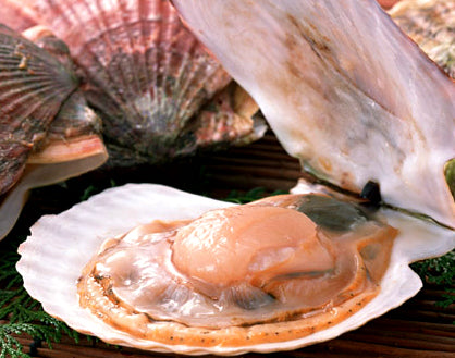 【BBQおすすめ】【特大】【大粒】【下処理済】殻付ほたて 5枚入 瞬間冷凍で産地の味がそのまま! ほたて 帆立 バーベキュー BBQ お歳暮 年末